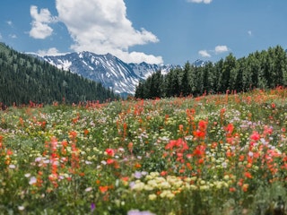Summer in Aspen, Colorado