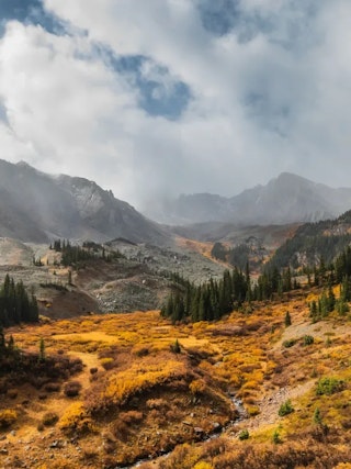Fall Aspen, Colorado
