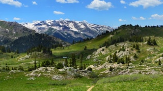 aspen mountains in the spring
