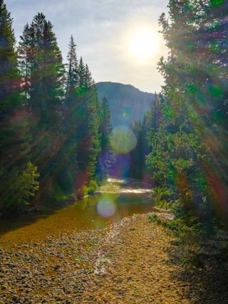 Nature-Travel Shooters