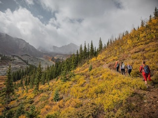 Fall Hiking in Aspen
