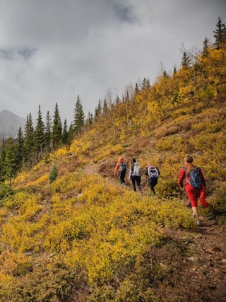 Fall Hiking in Aspen